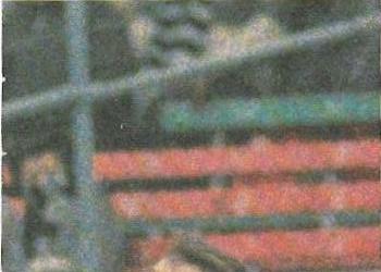 1986 Scanlens VFL #115 Phil Krakouer Back